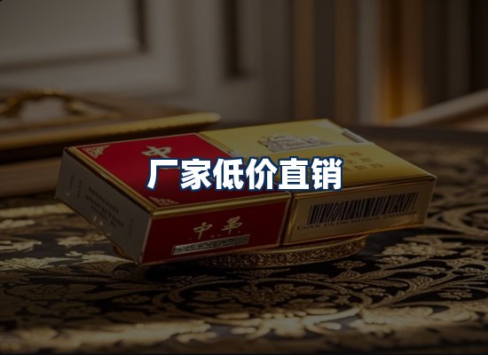 专业团队办公环境